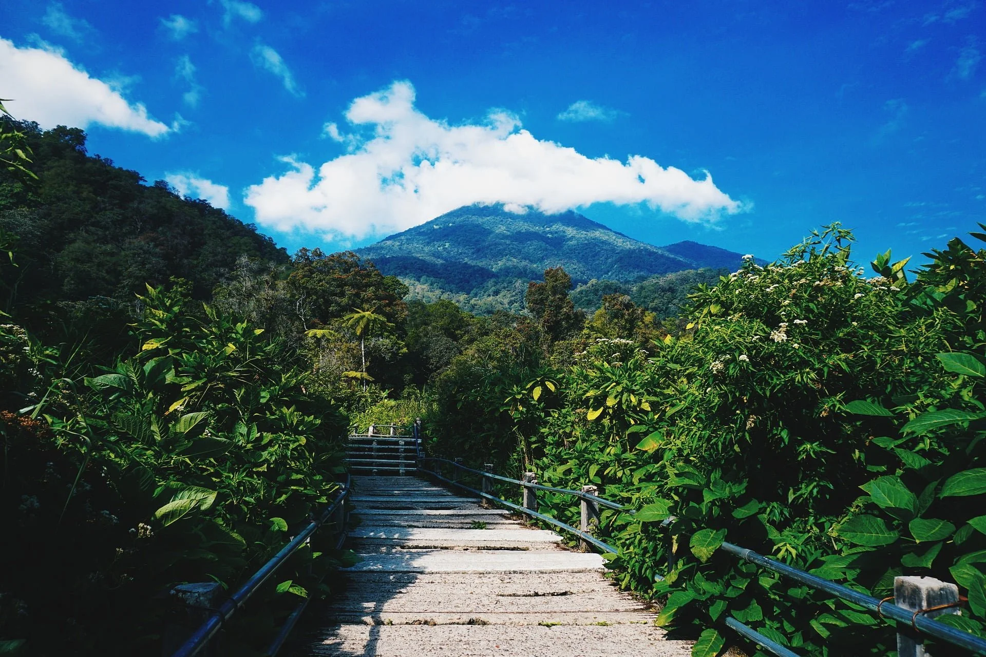 4 Destinasi Wisata Di Sukabumi Yang Tidak Boleh Dilewatkan Bagi Pecinta