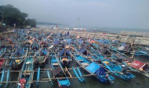 Ikan Laut Jayanti Mulai Langka