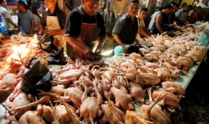 Munggahan, Harga Daging Sapi dan Ayam Naik