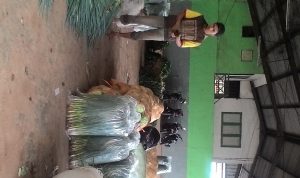 Menyedihkan, Begini Nasib Para Petani Sayuran Saat Ini