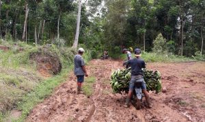 37,5 Kilometer Jalan Desa Neglasari Masih Tanah Merah