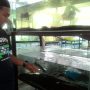 Ikan Predator Ini Mendadak Diburu Warga
