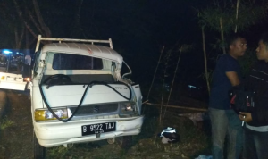 Mobil Rusak Tertimpa Pohon