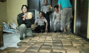 Sopir Pickup Pengangkut Ganja 125 Kg Diciduk Polisi