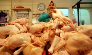 Daging Ayam Tembus Harga Rp 53 Ribu