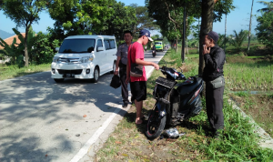 Tabrak Pohon, Pengendara Motor Luka Parah