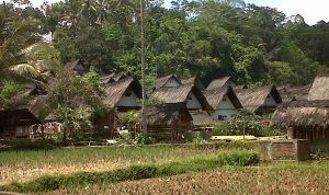 Kampung 'Siluman' Bikin Heboh