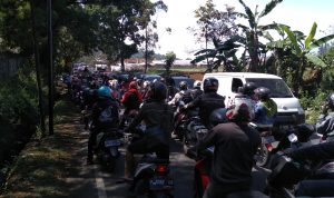 Masuk Taman Bunga Gratis, Kawasan Cipanas Macet