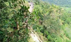 Warga Harapkan Pembangunan Tol Jabar Selatan Warga Harapkan Pembangunan Tol Jabar Selatan