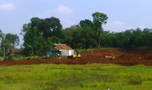 Ketahanan Pangan Mulai Terancam Ketahanan Pangan Mulai Terancam