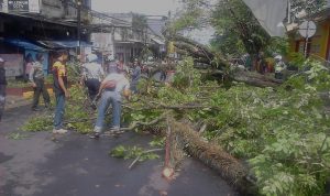 Pohon dan Tiang Listrik Roboh