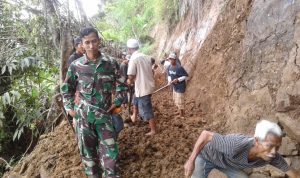 Terkena Longsor, Hektaran Sawah Gagal Tanam