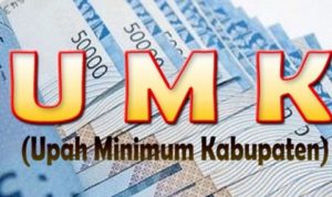 UMK 2021 Jabar: 17 Daerah Naik, 10 Tetap, Ini Daftarnya