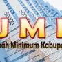 UMK Cianjur Rp 2,3 Juta