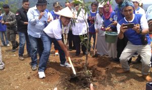 Cianjur Telah Tanam 15 Ribu Pohon