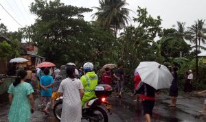 Pepohonan Tumbang, Puluhan Rumah Rusak