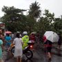 Pepohonan Tumbang, Puluhan Rumah Rusak