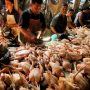 Harga Daging Ayam Mulai Naik