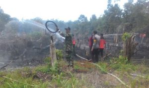 Sudah 10 Hektar Lahan Terbakar Selama Kemarau