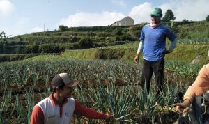Petani Sayur Keluhkan Mahalnya Harga Pupuk Petani Sayur Keluhkan Mahalnya Harga Pupuk