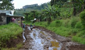 Warga Batulawang Harapkan Perbaikan Jalur Puncak II