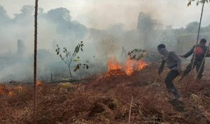 Hutan Gunung Pogor Terbakar