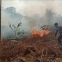 Hutan Gunung Pogor Terbakar