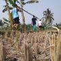 Cianjur Siaga Bencana Kekeringan