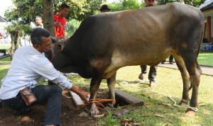 Pelaksanaan Kurban di Rumah Dinas Gubernur Jabar