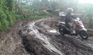 Jalan Rusak Parah Seperti Kubangan Kerbau