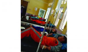 Santap Gadung, Lima Murid SD di Cianjur Kejang-kejang Santap Gadung, Lima Murid SD di Cianjur Kejang-kejang