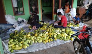 Koperasi BMS Waringinsari Cianjur, Oleh Pemuda untuk Pemuda