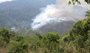 Kebakaran Gunung Ciremai Semakin Meluas