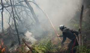 Puntung Rokok Diduga Picu Kebakaran Lahan Kawah Putih Ciwidey