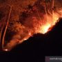 Sempat Padam, Hutan Gunung Cikuray Terbakar Lagi