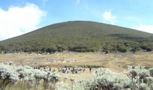 Mulai 1 Januari 2020, Jalur Pendakian Gunung Gede Ditutup