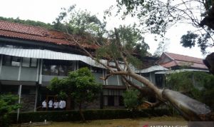 Angin Kencang, Pohon Besar Timpa Kantor Wabup Garut