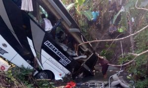 Bus Masuk Jurang, Lima Orang Diduga Tewas