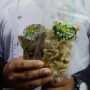 Buah Takokak Jadi Aneka Kerupuk