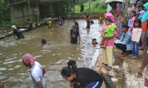 Tradisi Tangkap Ikan Warga Gelaranyar Pagelaran Cianjur Usai Pilkades