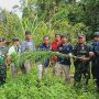 Satgas Yonif Raider 300/Bjw Bongkar Ladang Ganja di Papua