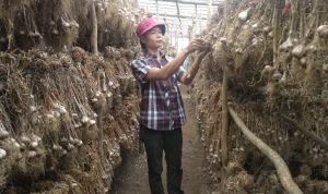 Impor dari China Dihentikan, Diskoperdagin Cianjur Pastikan Stok Bawang Putih Aman