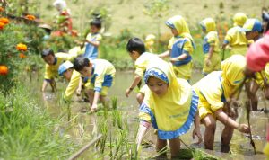 Menginap Sambil Edukasi Anak di Le Eminence Hotel Ciloto Cianjur