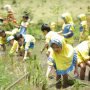 Menginap Sambil Edukasi Anak di Le Eminence Hotel Ciloto Cianjur