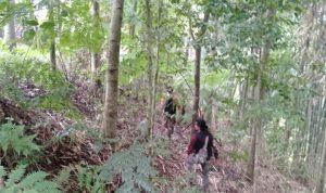 Hulu DAS Cianjur Jadi Hutan Lindung Lagi