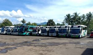 Imbas Virus Korona, PO Bus di Cianjur Merugi