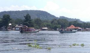 Imbas Korona, Sopir Perahu Jangari Minim Penghasilan