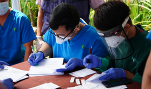 Dua Hari Rapid Test Masif di Kawasan Puncak, 69 Orang Reaktif