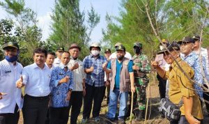 Masih 'Perawan', Ini Pantai Cemara Cipanglay Cianjur Selatan