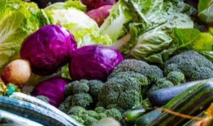 Harga Jual Rendah, Petani di Cianjur Enggan Panen Tanaman Sayurannya Harga Jual Rendah, Petani di Cianjur Enggan Panen Tanaman Sayurannya